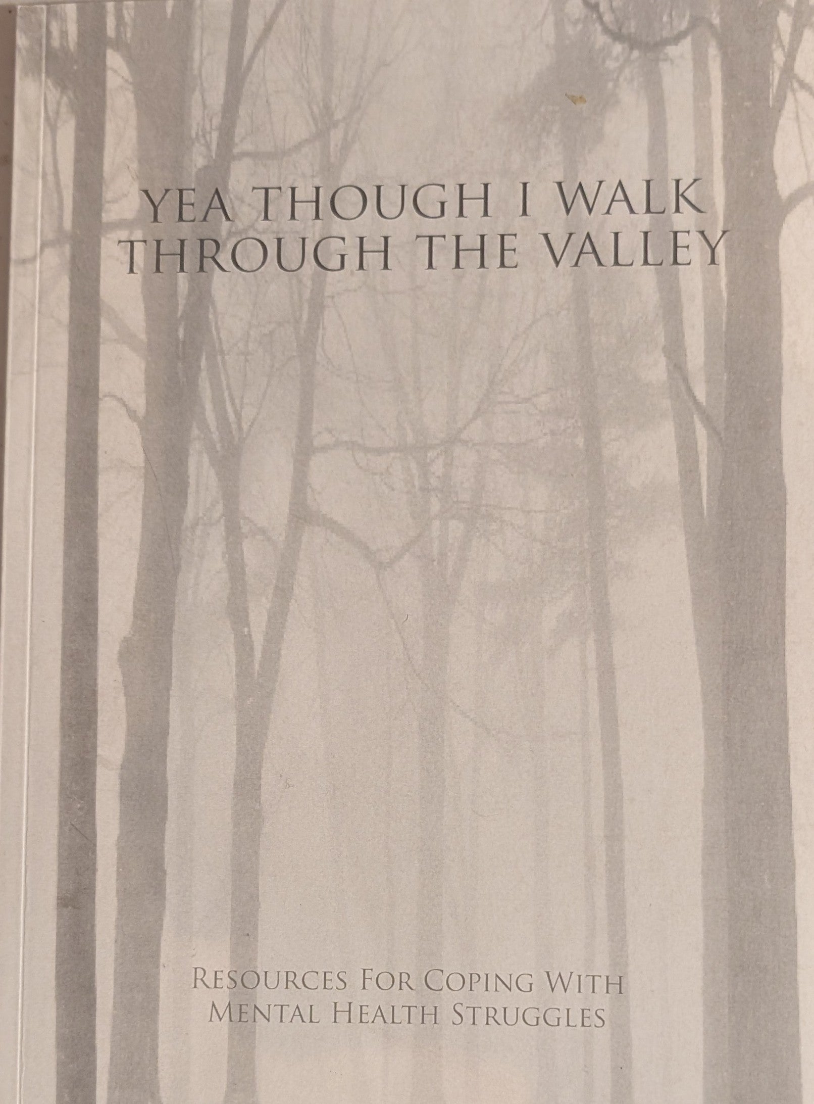 Yea Though I Walk Through the Valley