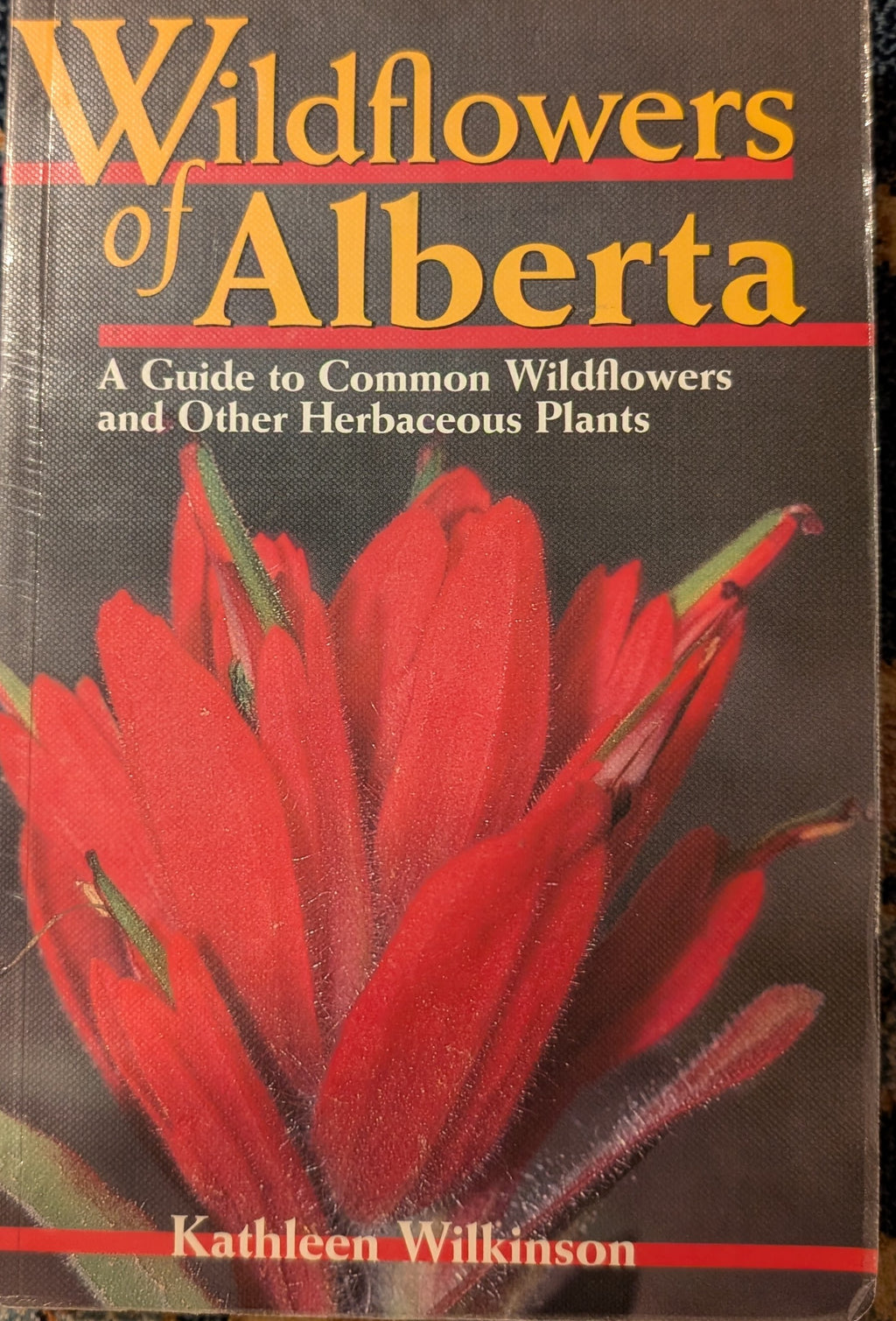 Wildflowers of Alberta