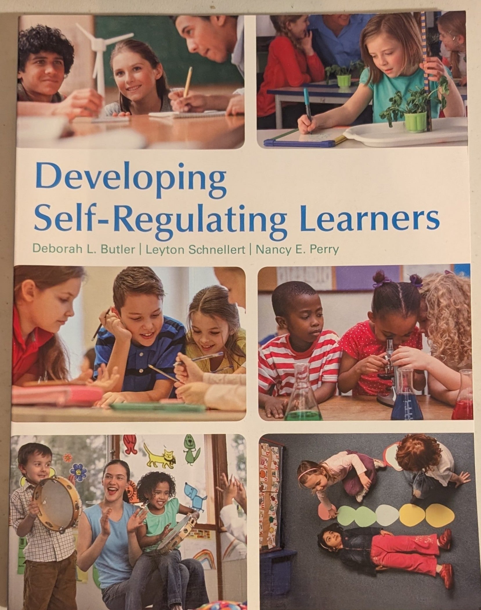 Developing Self-Regulating Learners