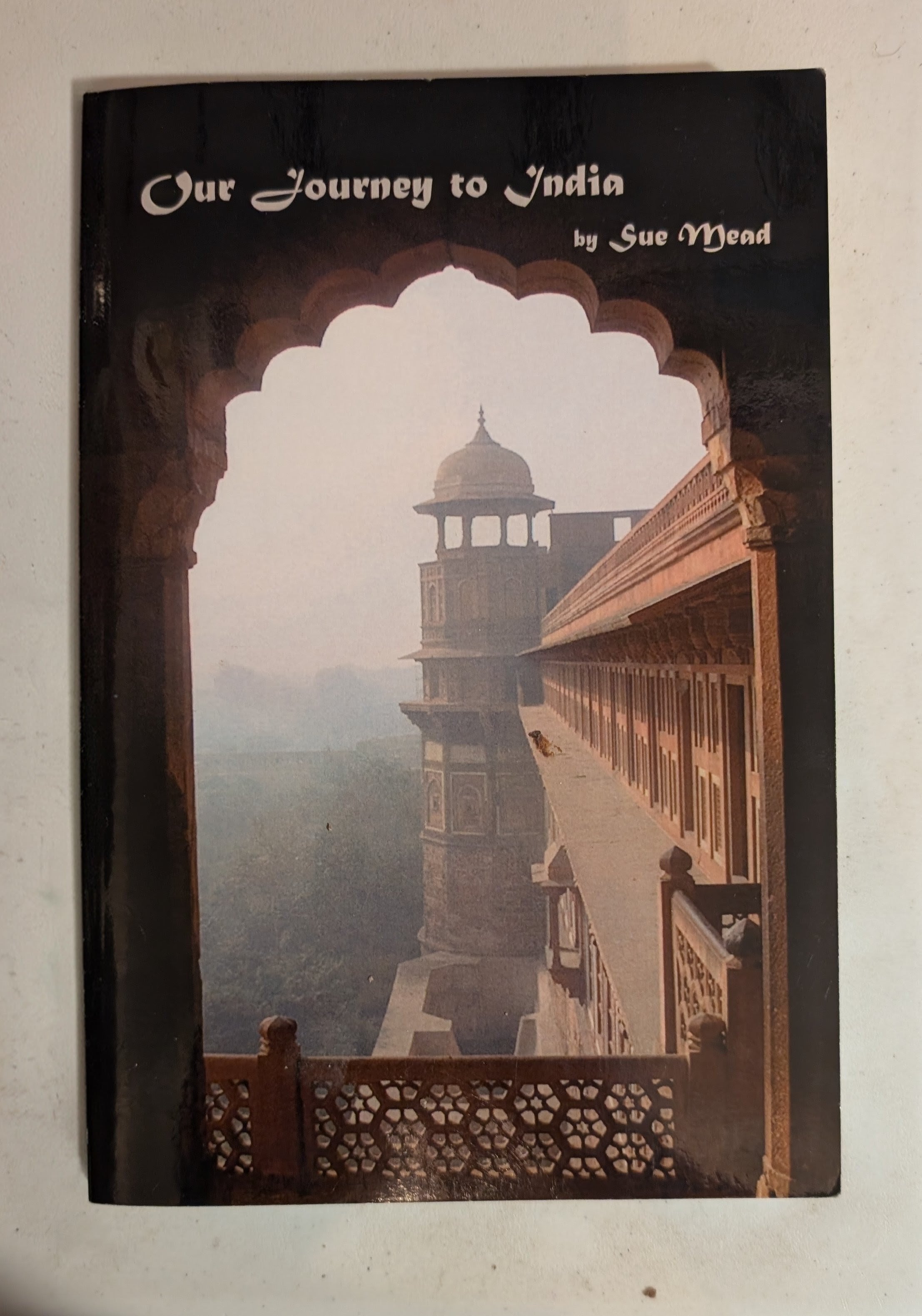 Our Journey to India