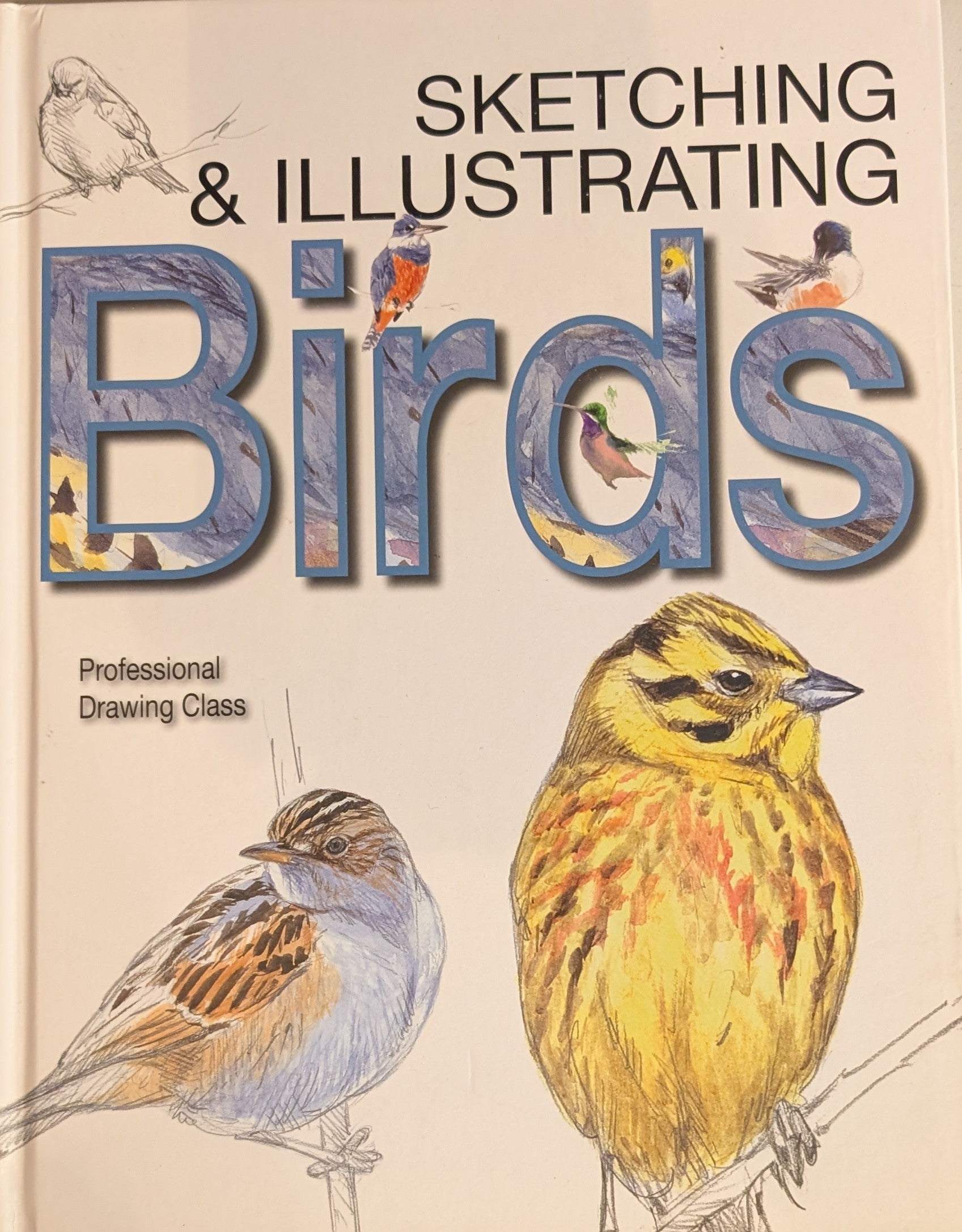 Sketching & Illustrating Birds: Professional Drawing Class