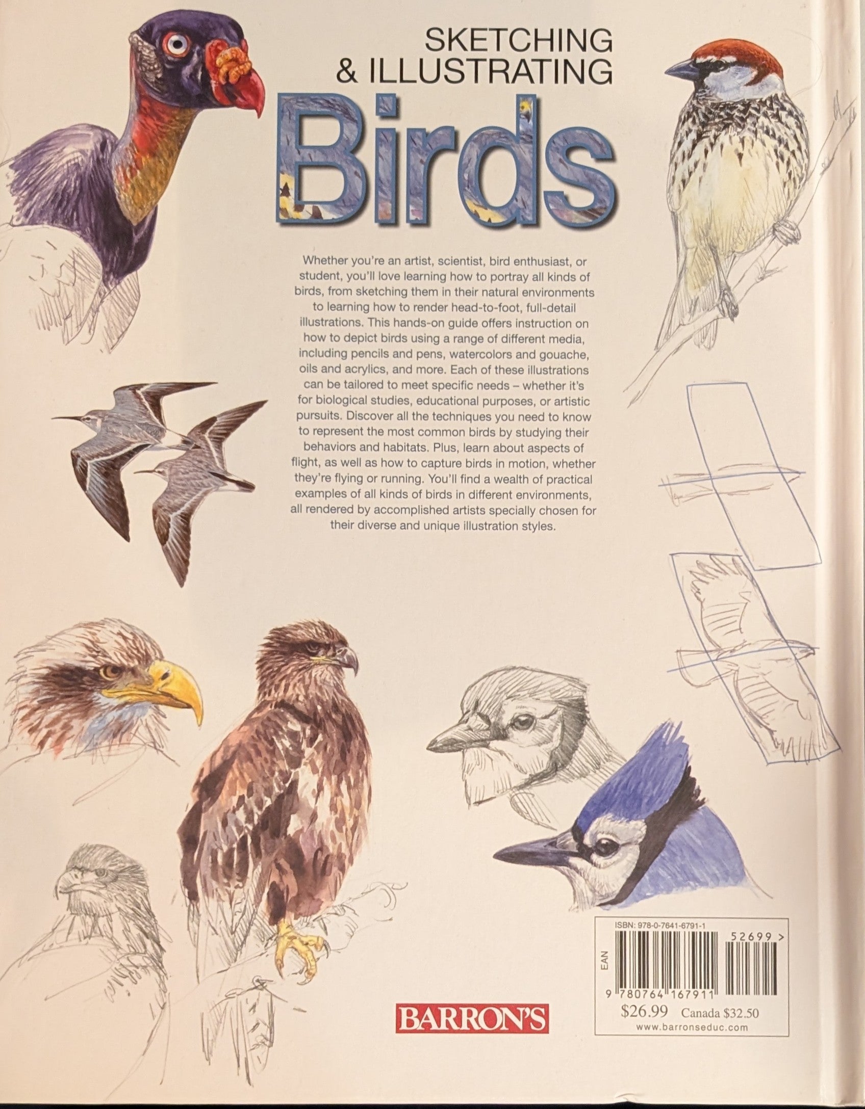 Sketching & Illustrating Birds: Professional Drawing Class