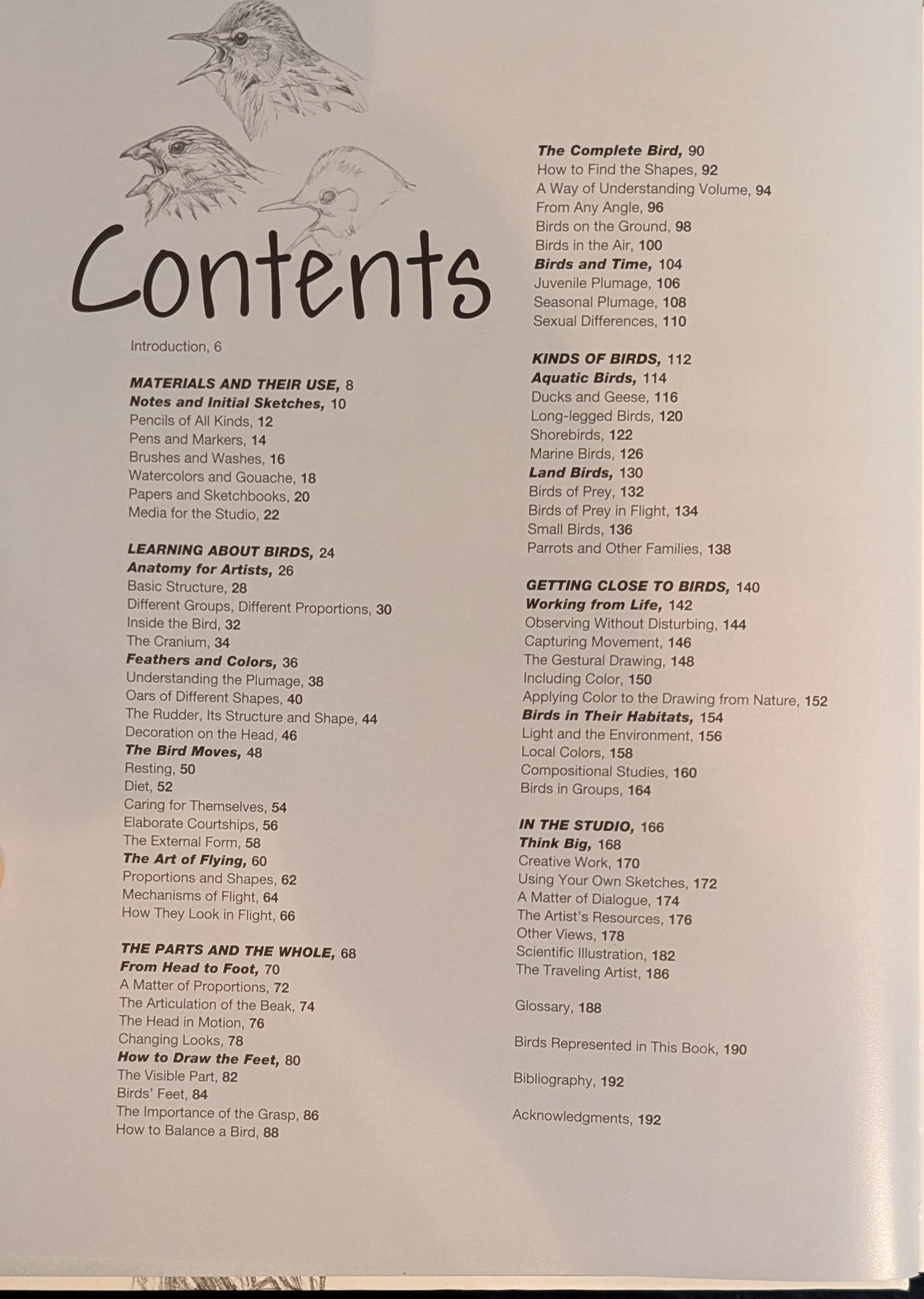 Sketching & Illustrating Birds: Professional Drawing Class